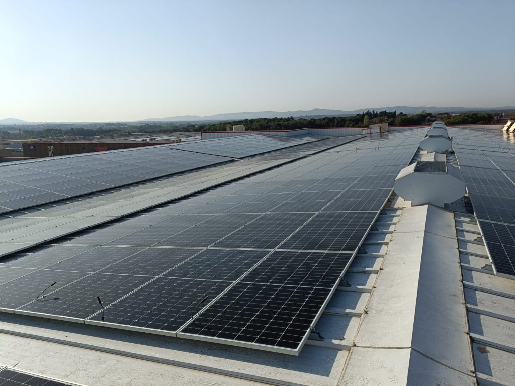 WhatsApp Image 2022-08-12 at 09.31.40