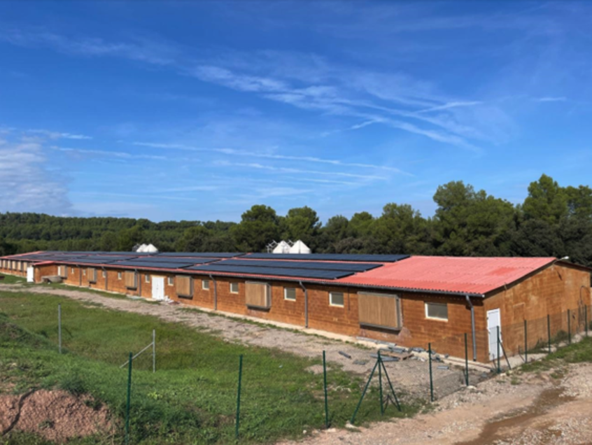 Fotovoltaica Granja Friselva S6